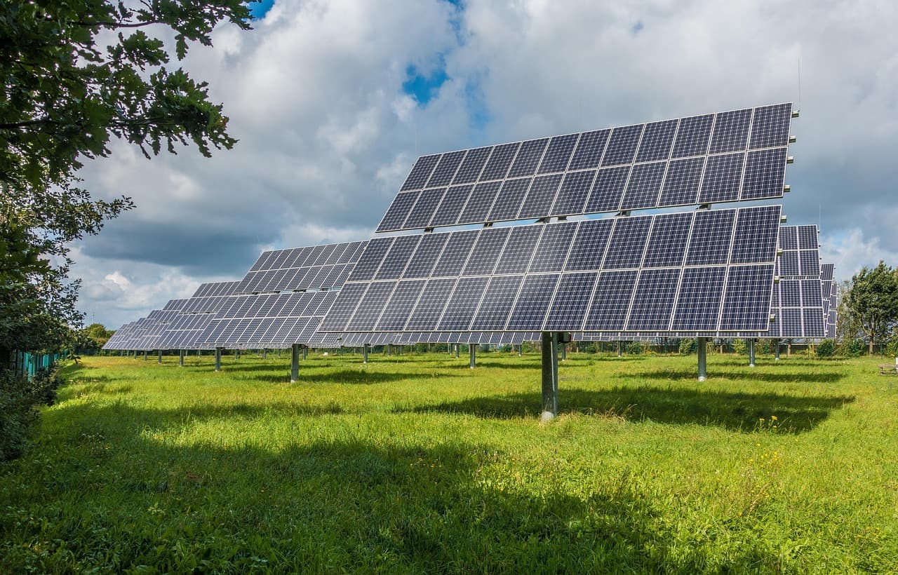 The Rise of Sustainable Practices in Future Phone Stores